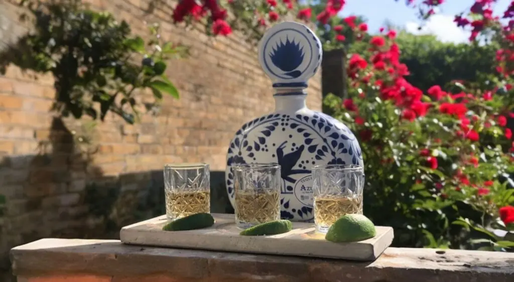 azulejos blanco tequila