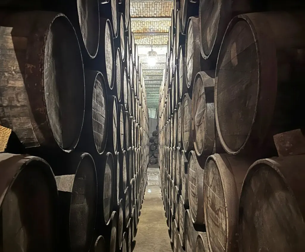 Rows of wooden barrels in dim cellar