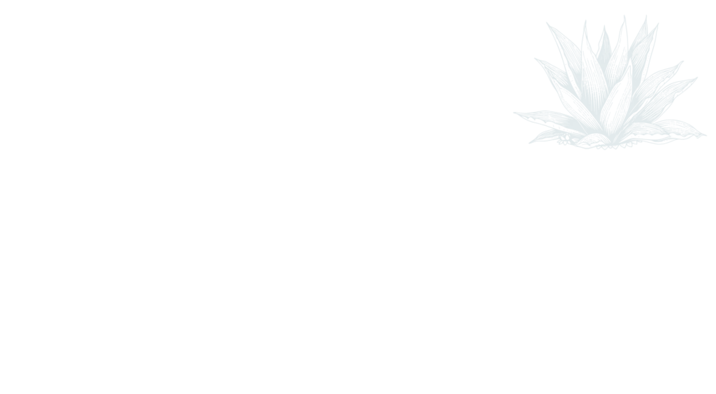 Stylized agave plant illustration in blue.